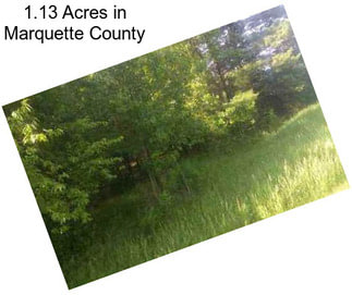 1.13 Acres in Marquette County