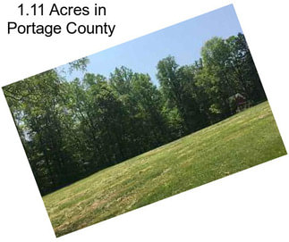 1.11 Acres in Portage County