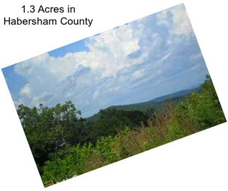 1.3 Acres in Habersham County