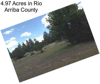 4.97 Acres in Rio Arriba County