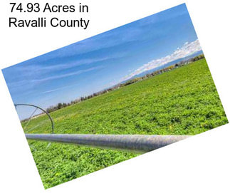 74.93 Acres in Ravalli County