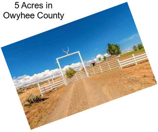 5 Acres in Owyhee County