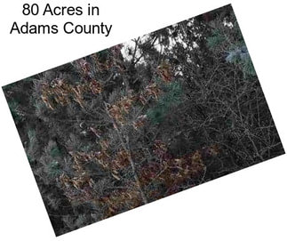 80 Acres in Adams County