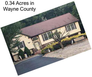 0.34 Acres in Wayne County