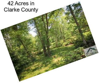 42 Acres in Clarke County