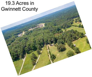 19.3 Acres in Gwinnett County