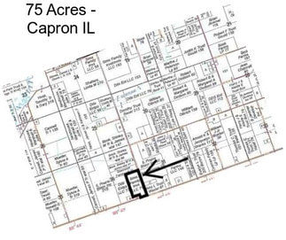75 Acres - Capron IL