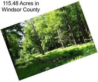115.48 Acres in Windsor County