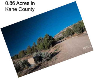 0.86 Acres in Kane County