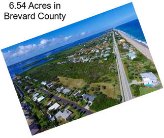 6.54 Acres in Brevard County