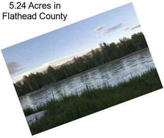 5.24 Acres in Flathead County