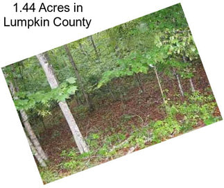 1.44 Acres in Lumpkin County