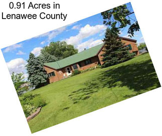 0.91 Acres in Lenawee County