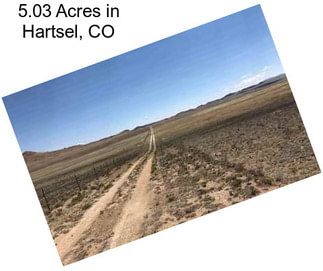 5.03 Acres in Hartsel, CO