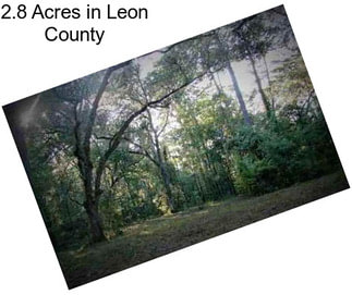 2.8 Acres in Leon County