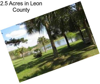 2.5 Acres in Leon County