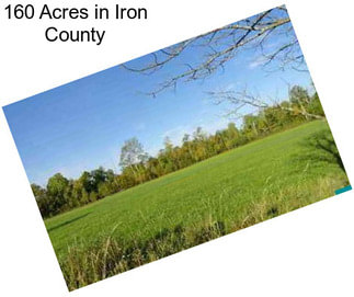 160 Acres in Iron County