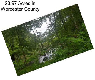 23.97 Acres in Worcester County