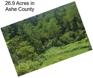 26.9 Acres in Ashe County
