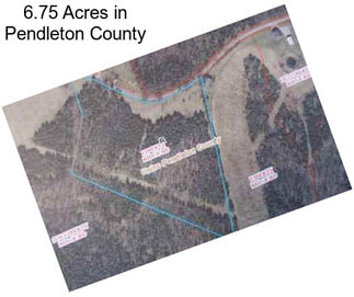 6.75 Acres in Pendleton County