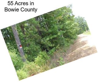 55 Acres in Bowie County