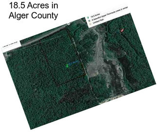 18.5 Acres in Alger County
