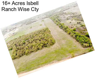 16+ Acres Isbell Ranch Wise Cty