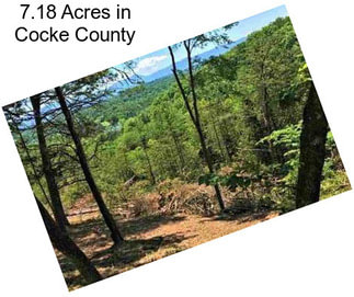 7.18 Acres in Cocke County