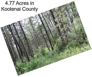 4.77 Acres in Kootenai County