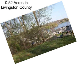 0.52 Acres in Livingston County
