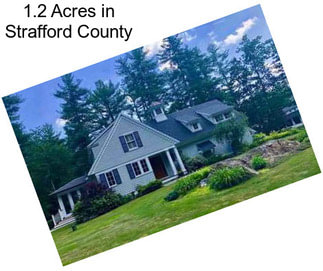 1.2 Acres in Strafford County