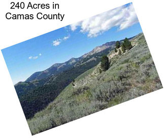 240 Acres in Camas County