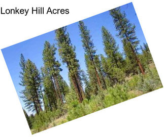 Lonkey Hill Acres