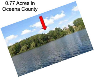 0.77 Acres in Oceana County