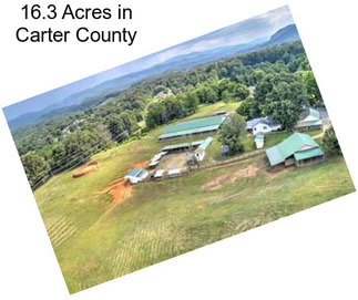 16.3 Acres in Carter County