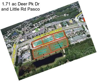 1.71 ac Deer Pk Dr and Little Rd Pasco