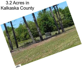 3.2 Acres in Kalkaska County