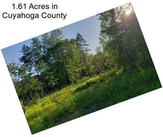 1.61 Acres in Cuyahoga County