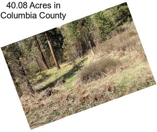 40.08 Acres in Columbia County