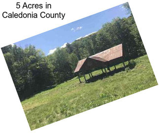 5 Acres in Caledonia County