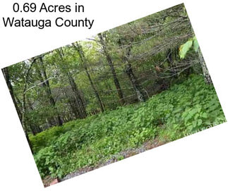 0.69 Acres in Watauga County