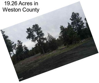 19.26 Acres in Weston County