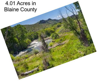 4.01 Acres in Blaine County