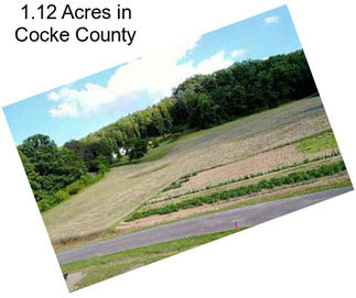 1.12 Acres in Cocke County