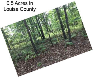 0.5 Acres in Louisa County