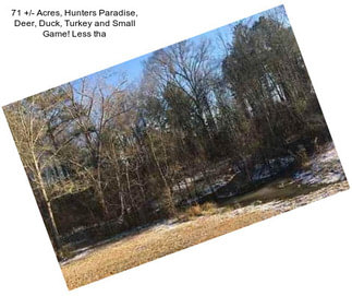 71 +/- Acres, Hunters Paradise, Deer, Duck, Turkey and Small Game! Less tha