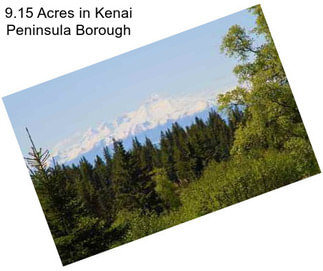 9.15 Acres in Kenai Peninsula Borough