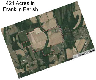 421 Acres in Franklin Parish