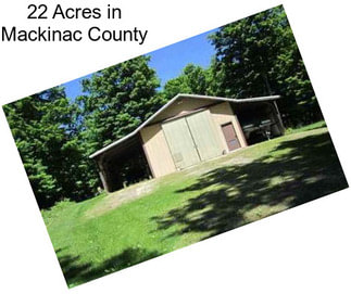 22 Acres in Mackinac County