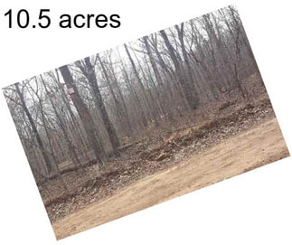 10.5 acres